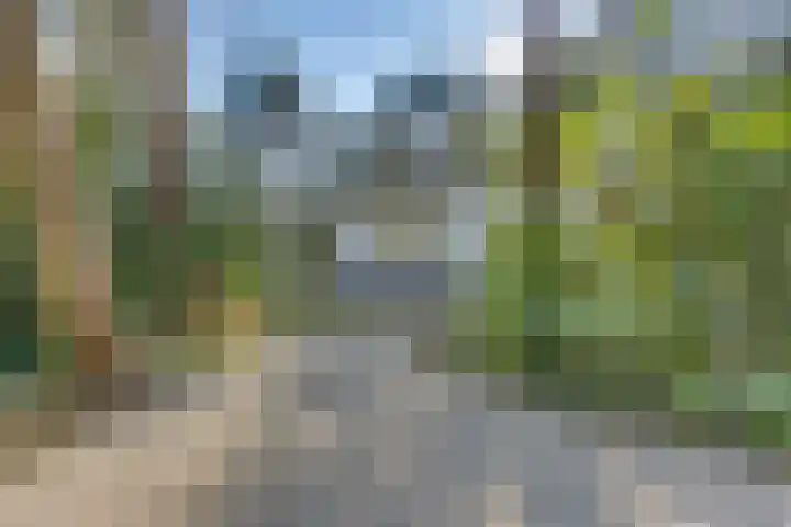 Stoevenweg 20 Heino thumbnail 30
