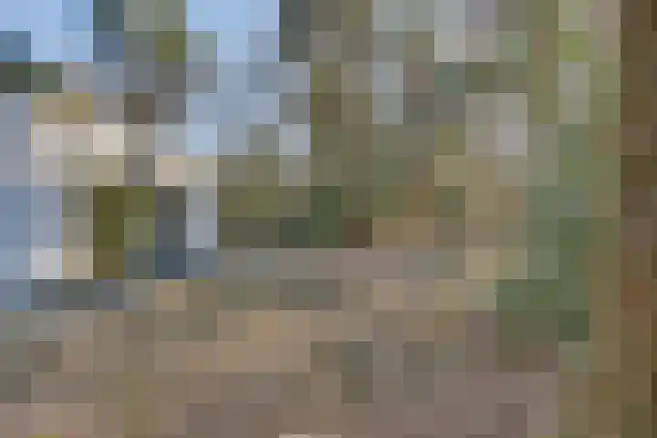 Stoevenweg 20 Heino thumbnail 32