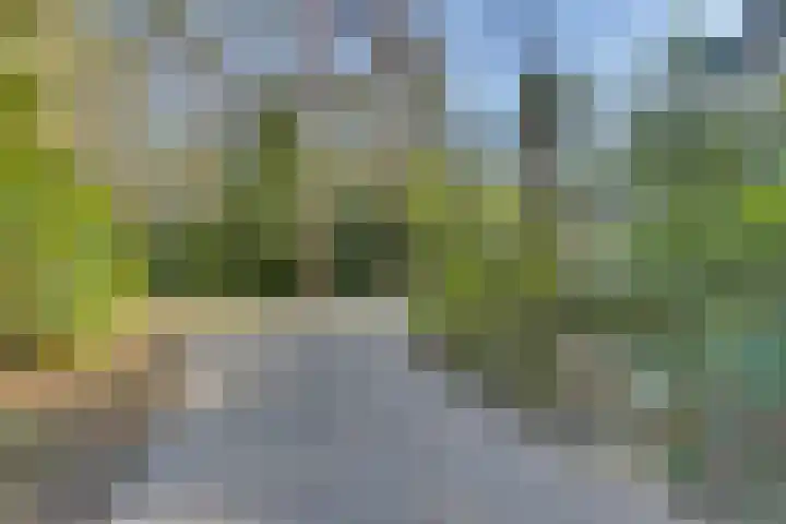 Stoevenweg 20 Heino thumbnail 34