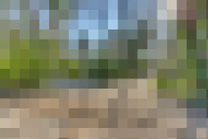Stoevenweg 20 Heino thumbnail 35