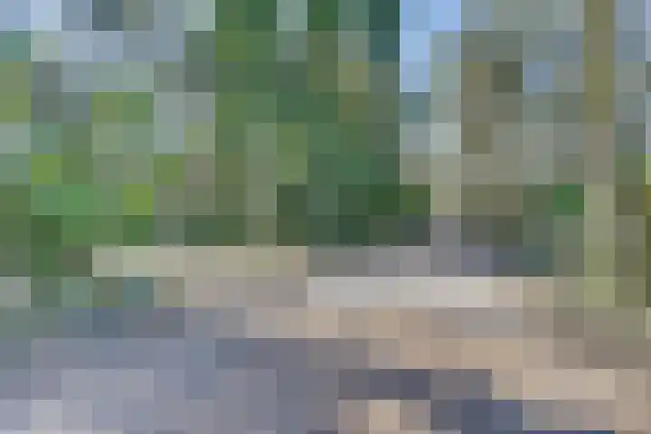 Stoevenweg 20 Heino thumbnail 36