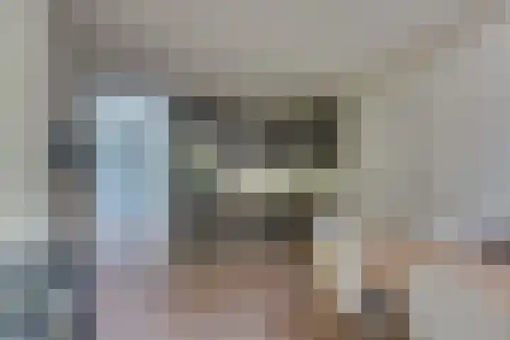 Stoevenweg 20 Heino thumbnail 6