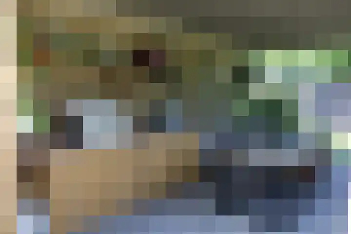 Stoevenweg 23 Heino thumbnail 18
