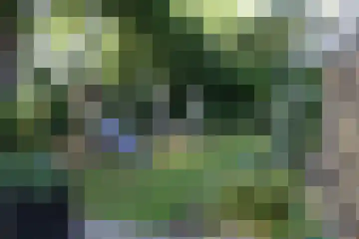 Stoevenweg 23 Heino thumbnail 19