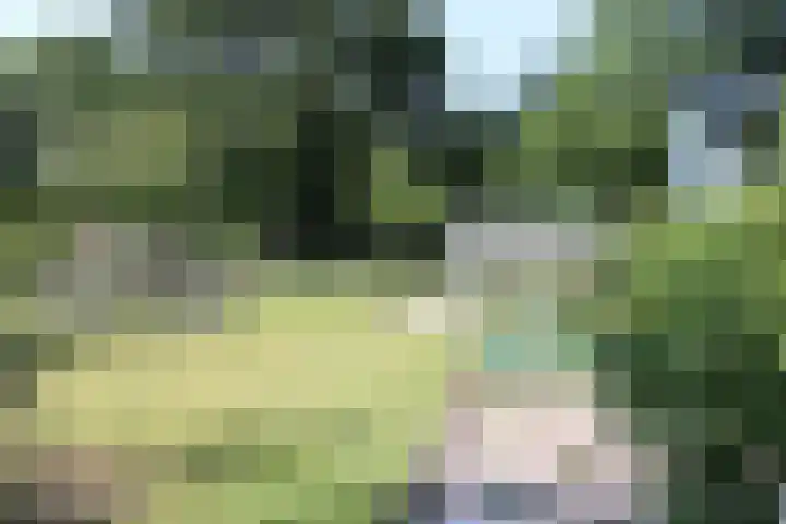 Stoevenweg 23 Heino thumbnail 22