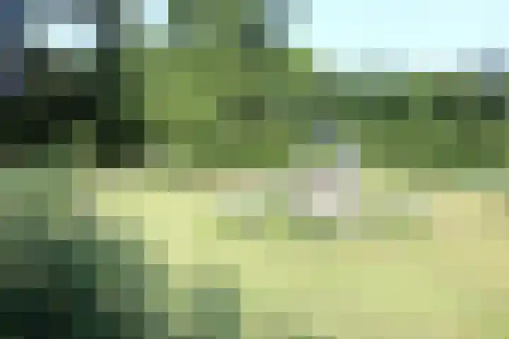 Stoevenweg 23 Heino thumbnail 23