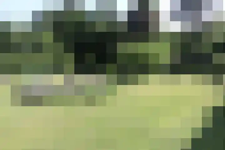 Stoevenweg 23 Heino thumbnail 24