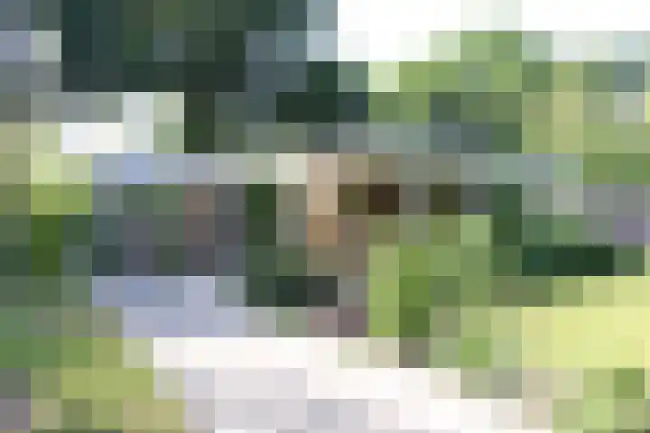 Stoevenweg 23 Heino thumbnail 25