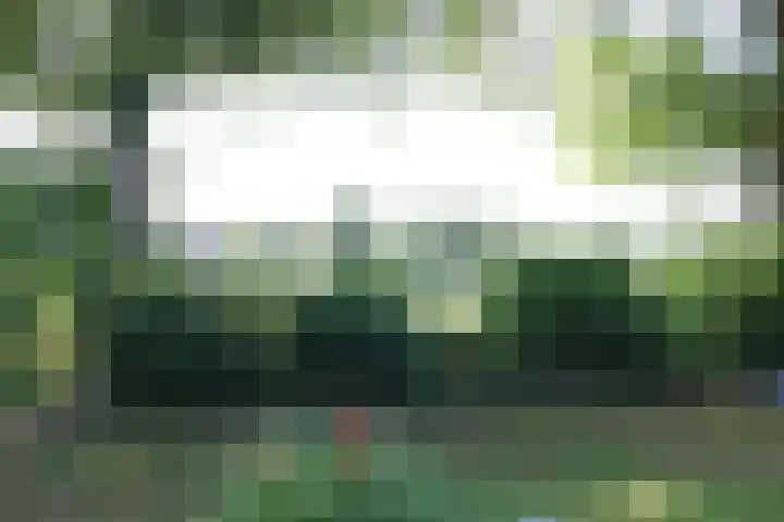Stoevenweg 23 Heino thumbnail 26