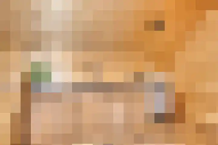 Stoevenweg 26 Heino thumbnail 15