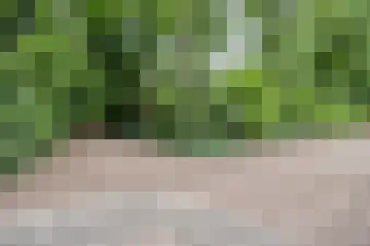Stoevenweg 26 Heino thumbnail 28