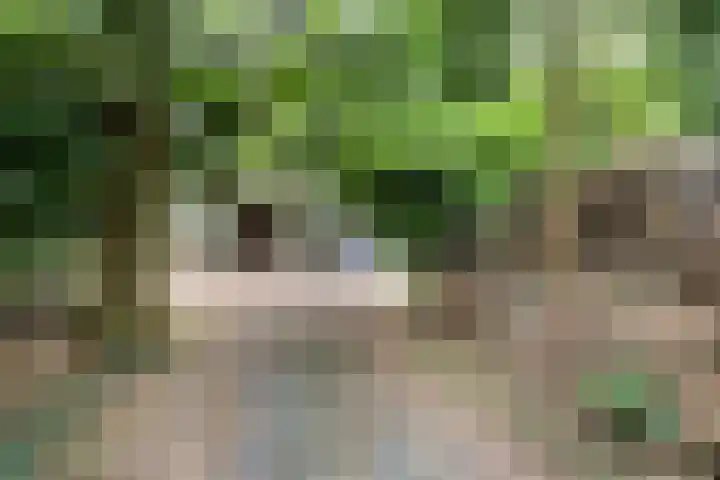 Stoevenweg 26 Heino thumbnail 29