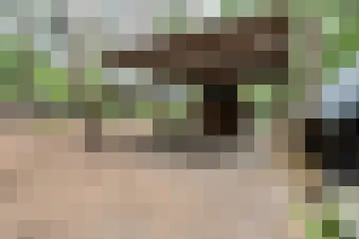 Stoevenweg 26 Heino thumbnail 30