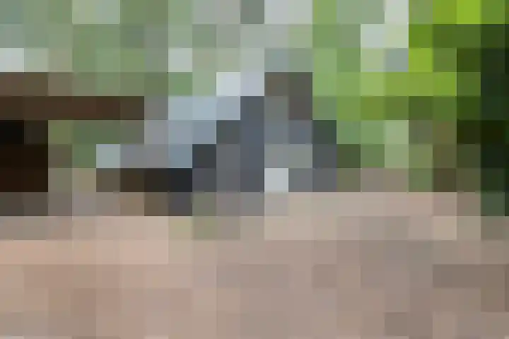 Stoevenweg 26 Heino thumbnail 31