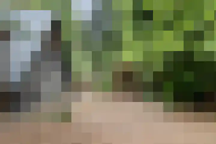 Stoevenweg 26 Heino thumbnail 33