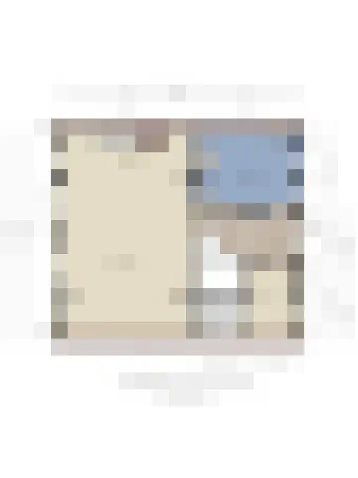Stoevenweg 26 Heino thumbnail 35