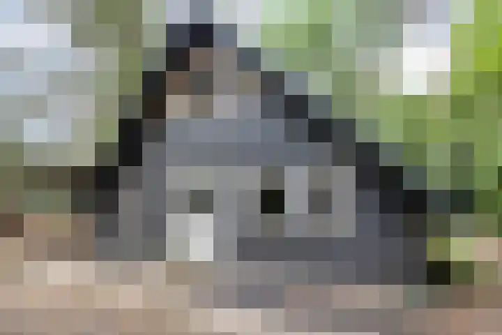 Stoevenweg 26 Heino thumbnail 4