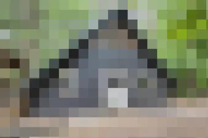 Stoevenweg 26 Heino thumbnail 5