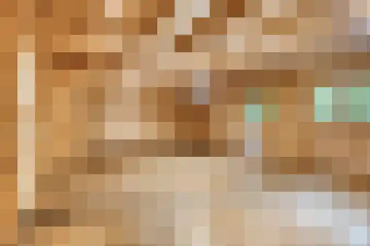 Stoevenweg 26 Heino thumbnail 8