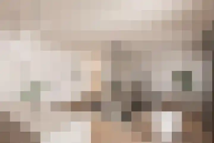 Stoevenweg 26 Heino thumbnail 9