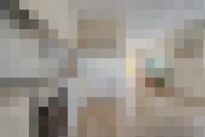 Stoevenweg 36 Heino thumbnail 11