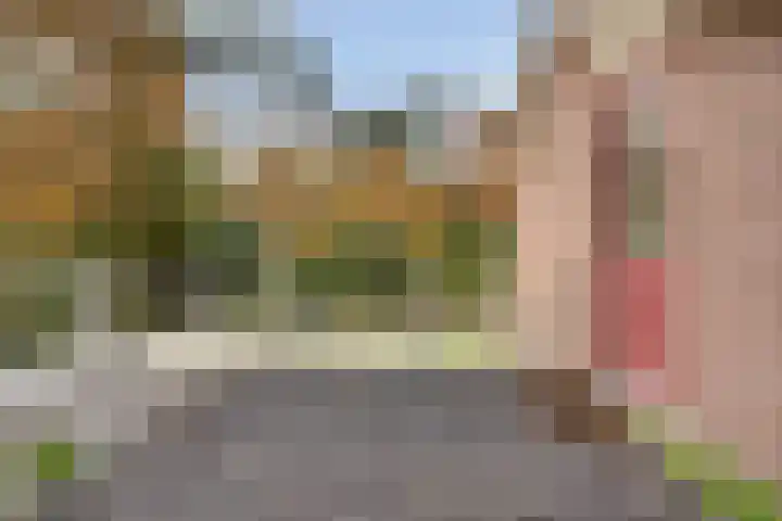 Stoevenweg 36 Heino thumbnail 22