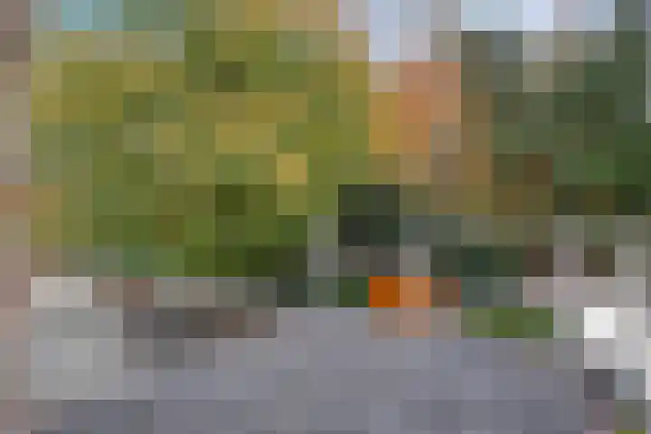 Stoevenweg 36 Heino thumbnail 23