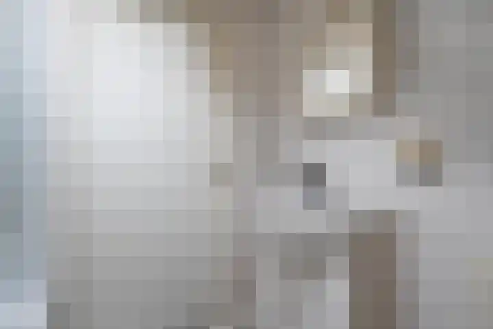 Stoevenweg 36 Heino thumbnail 27