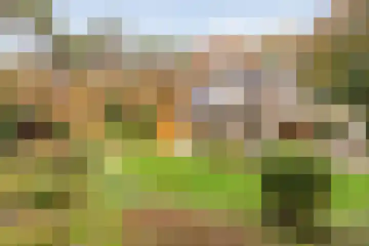 Stoevenweg 36 Heino thumbnail 30