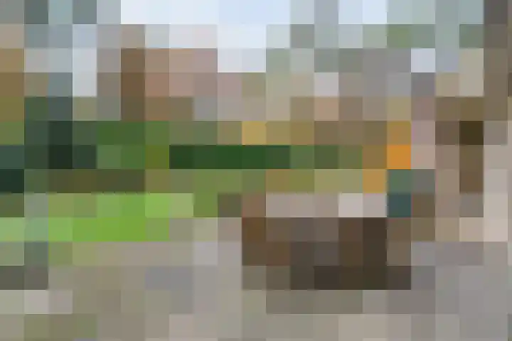 Stoevenweg 36 Heino thumbnail 33