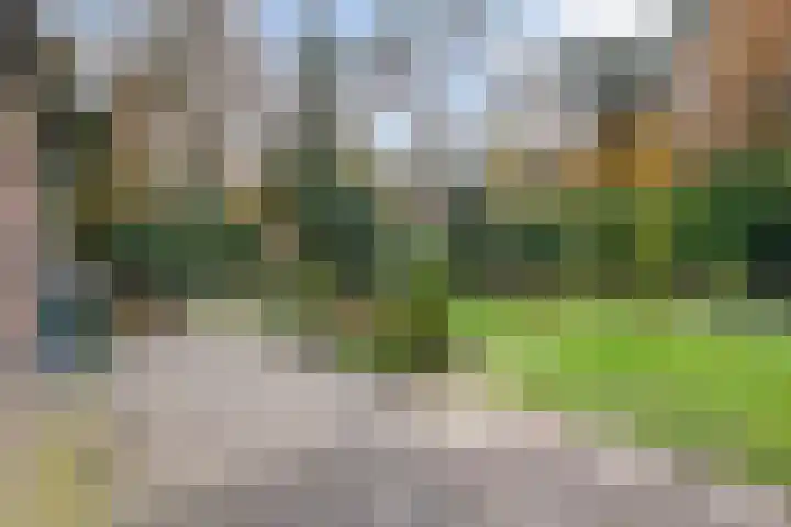 Stoevenweg 36 Heino thumbnail 35