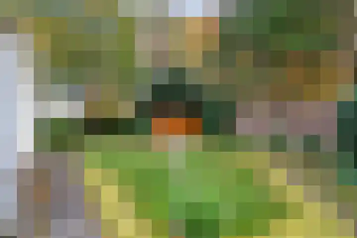 Stoevenweg 36 Heino thumbnail 36