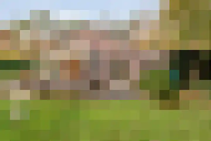 Stoevenweg 36 Heino thumbnail 37