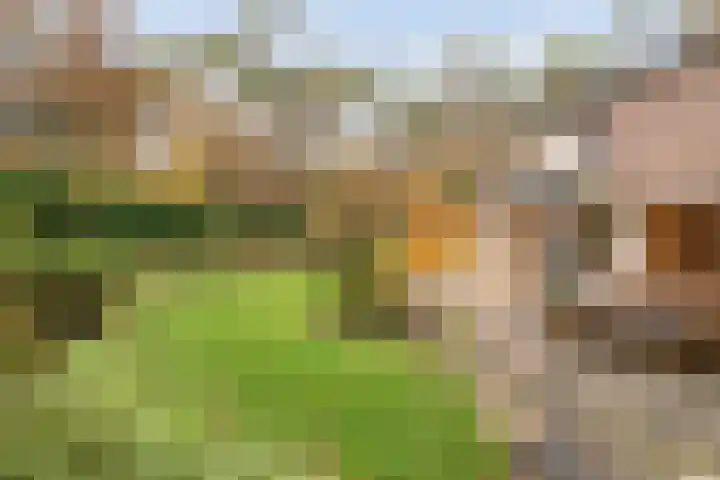 Stoevenweg 36 Heino thumbnail 38
