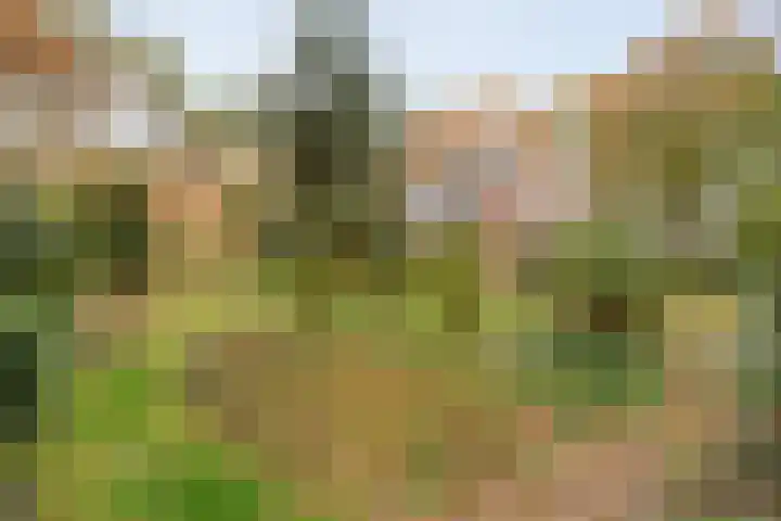 Stoevenweg 36 Heino thumbnail 39