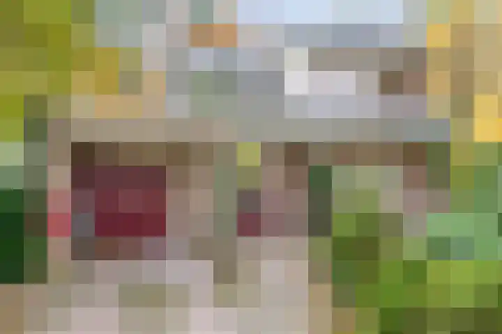 Stoevenweg 36 Heino thumbnail 4