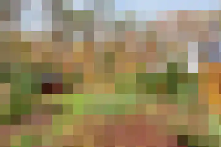 Stoevenweg 36 Heino thumbnail 40