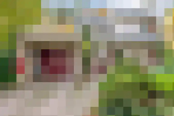 Stoevenweg 36 Heino thumbnail 41