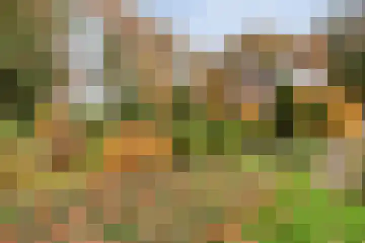 Stoevenweg 36 Heino thumbnail 42