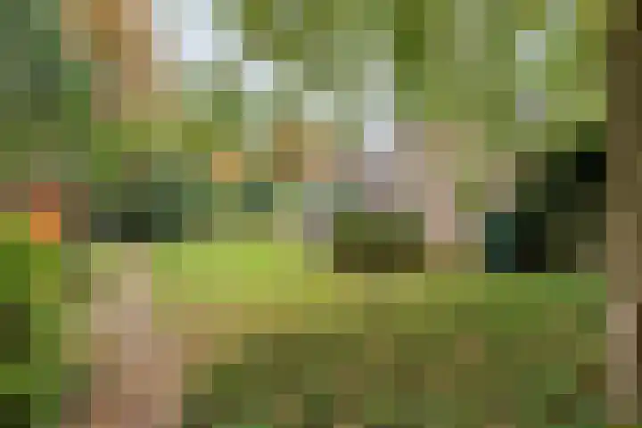 Stoevenweg 36 Heino thumbnail 43