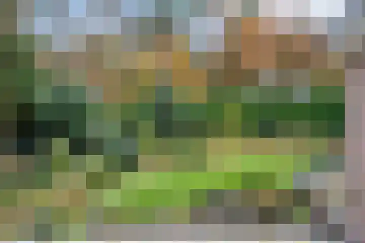 Stoevenweg 36 Heino thumbnail 44