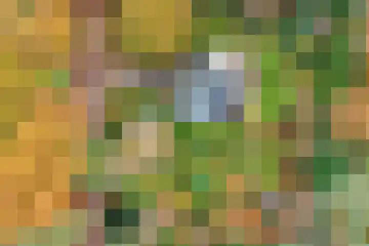 Stoevenweg 36 Heino thumbnail 47