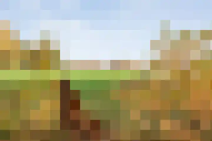Stoevenweg 36 Heino thumbnail 48