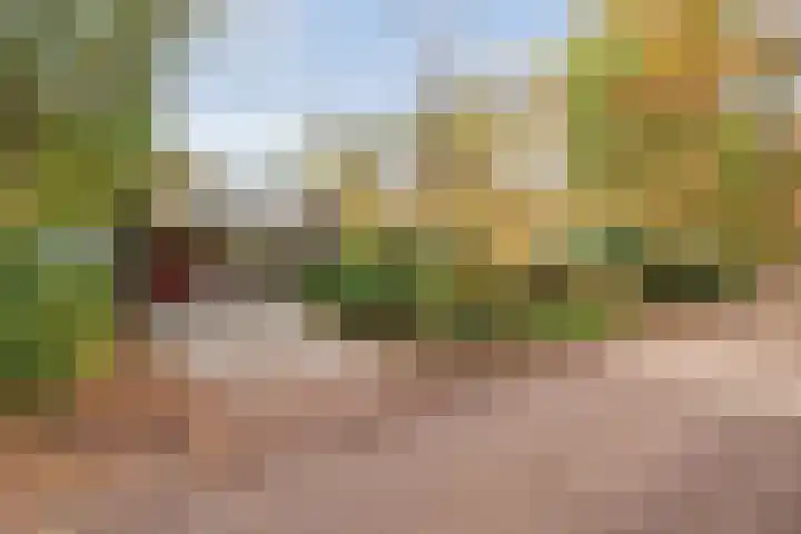 Stoevenweg 36 Heino thumbnail 49