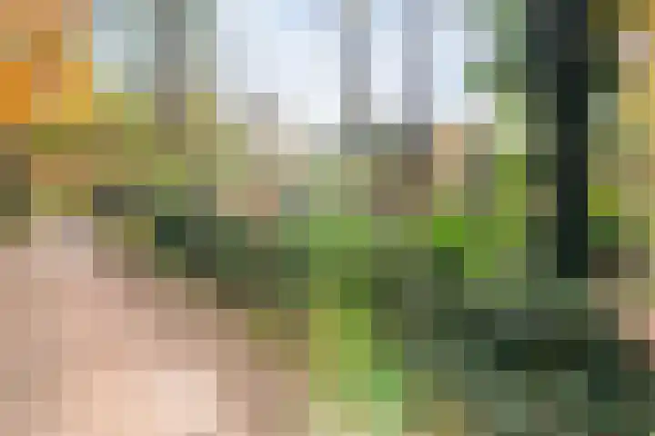 Stoevenweg 36 Heino thumbnail 50