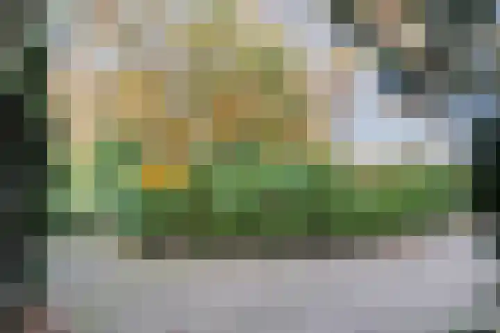 Stoevenweg 36 Heino thumbnail 51