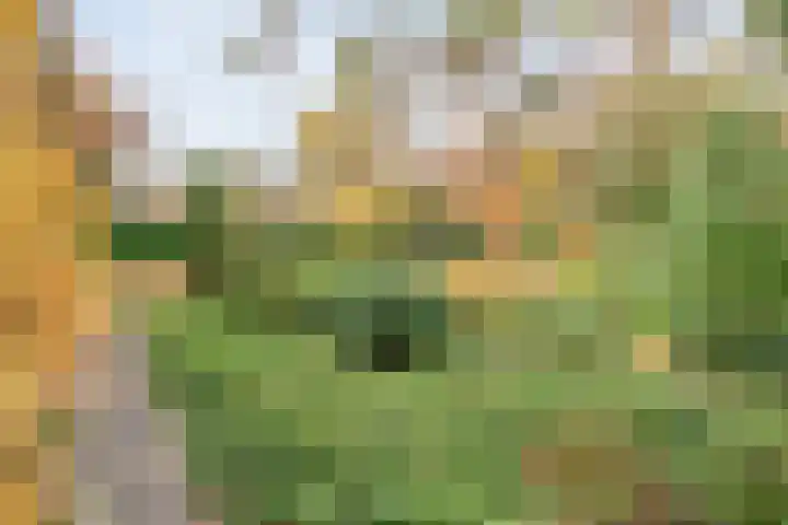 Stoevenweg 36 Heino thumbnail 53
