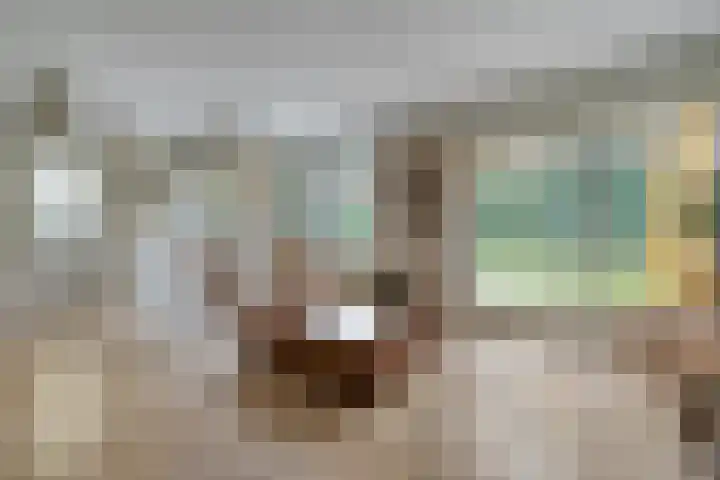 Stoevenweg 36 Heino thumbnail 6