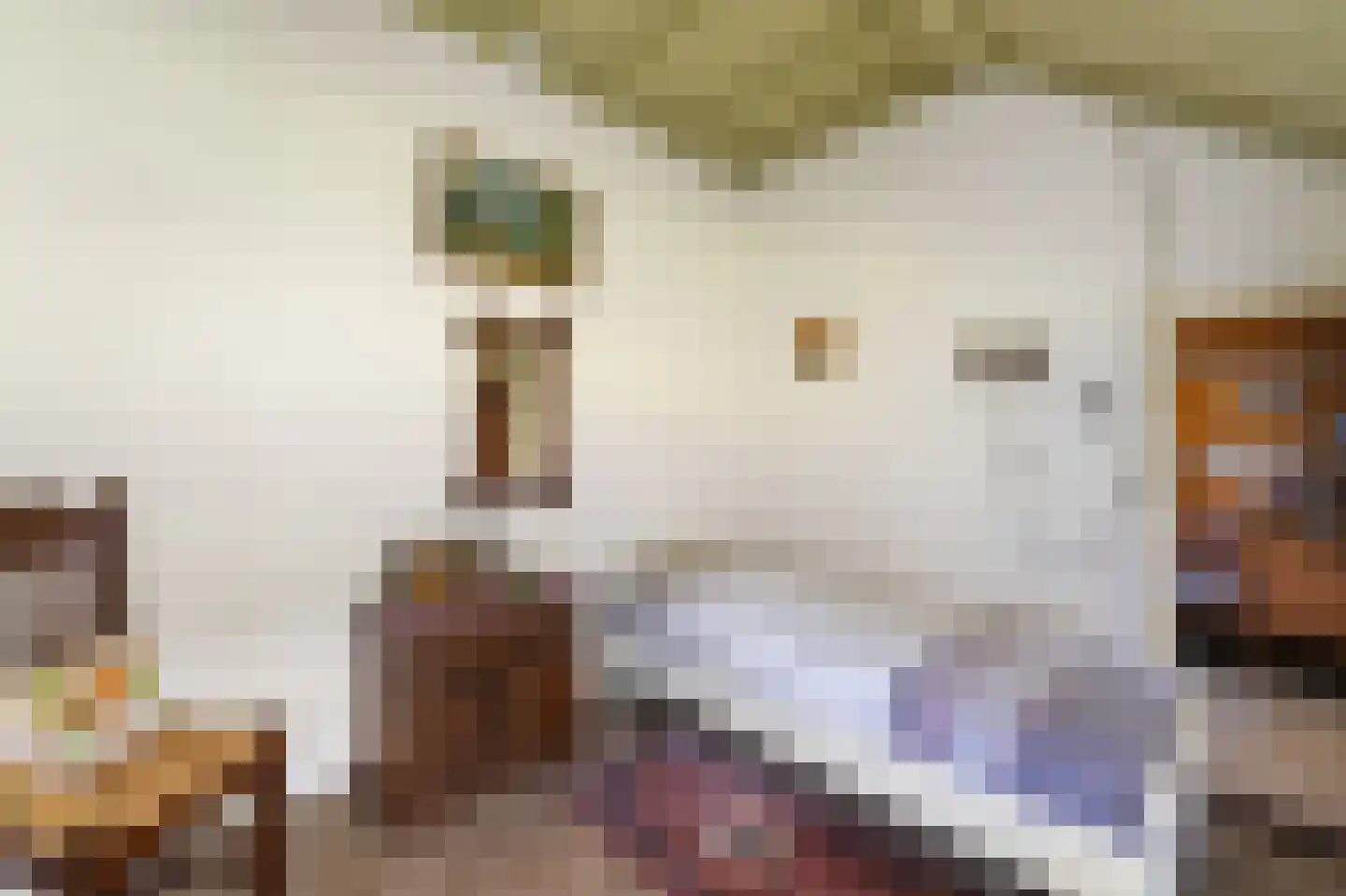 Stoevenweg 7 Heino thumbnail 27