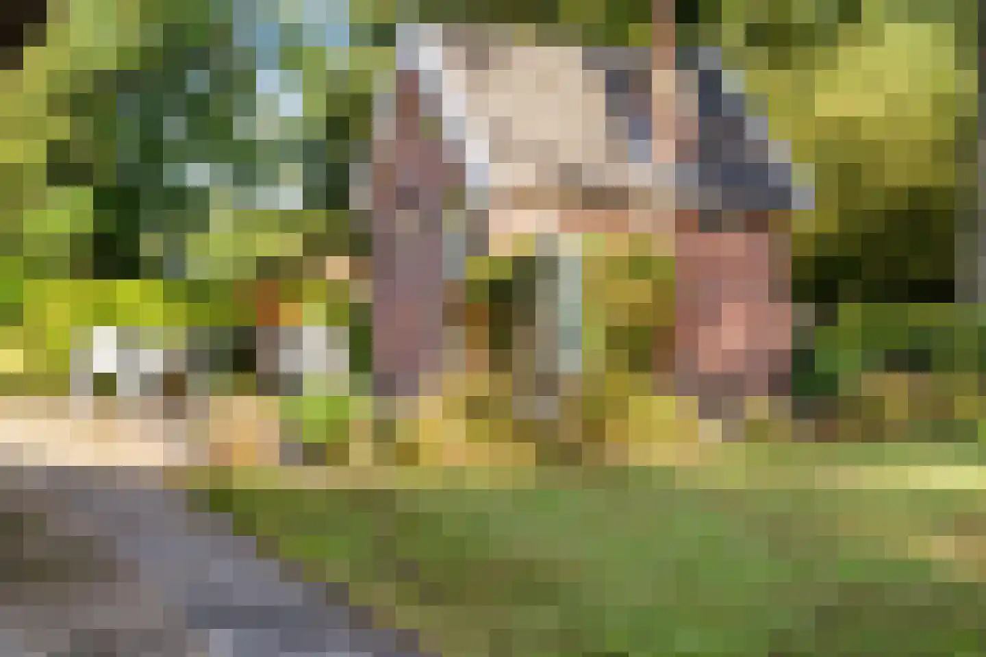 Stoevenweg 7 Heino thumbnail 38